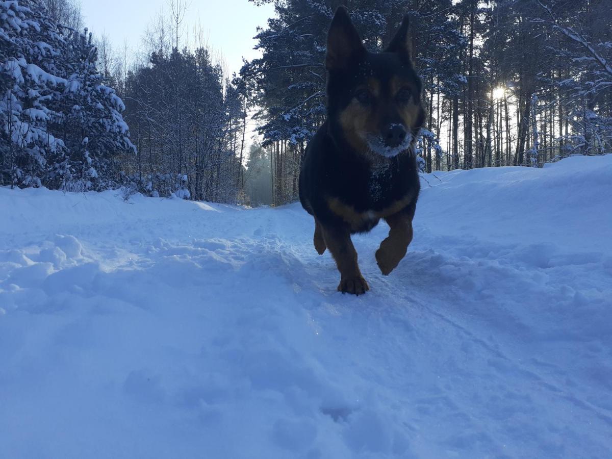 Spichlerz Apartman Rydzewo Kültér fotó