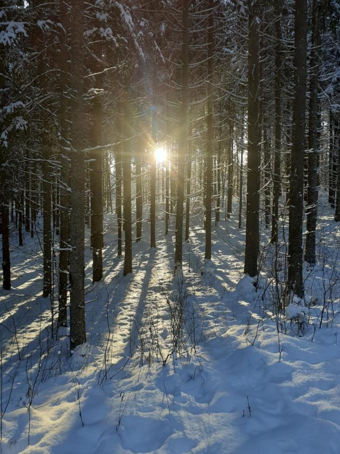 Spichlerz Apartman Rydzewo Kültér fotó