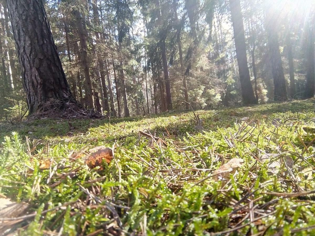 Spichlerz Apartman Rydzewo Kültér fotó