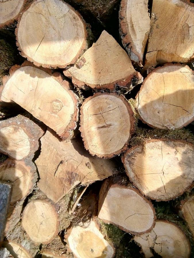 Spichlerz Apartman Rydzewo Kültér fotó