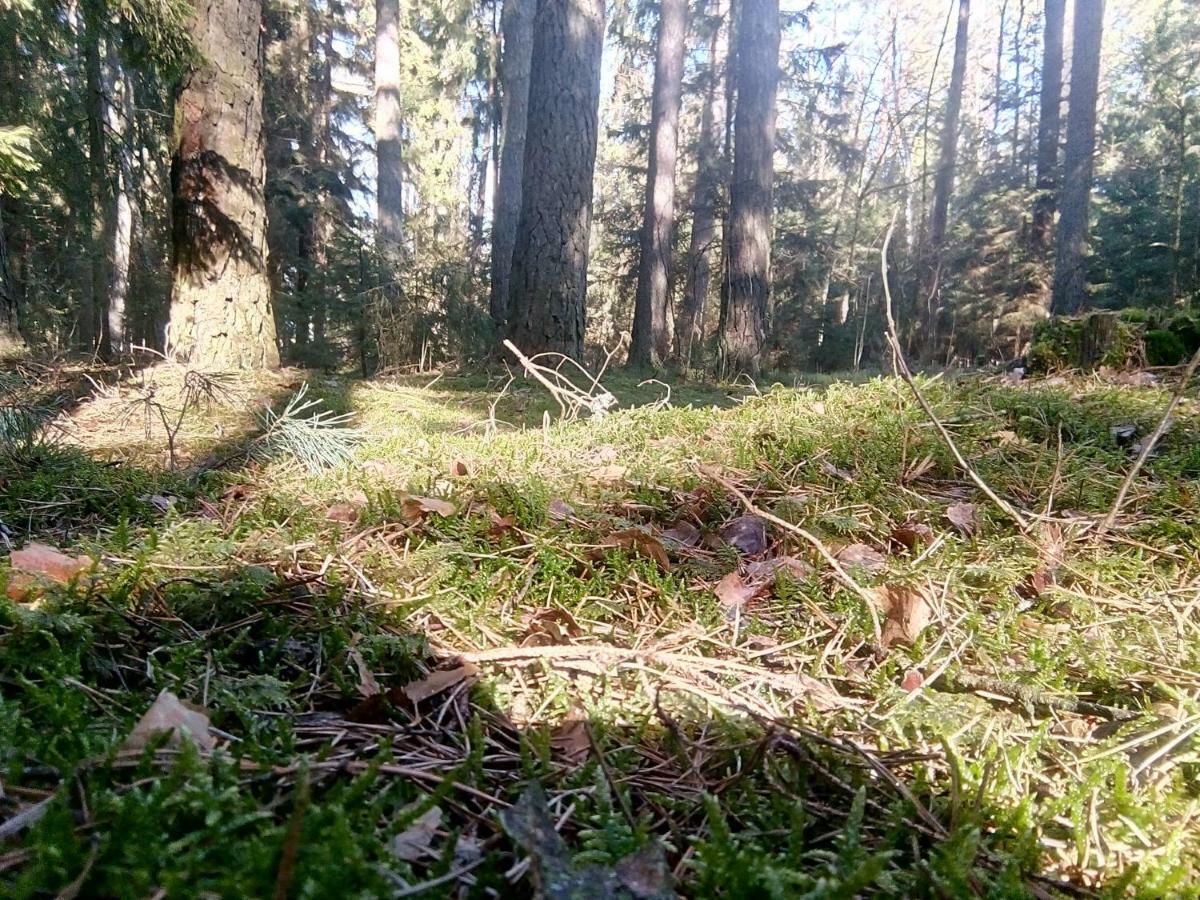 Spichlerz Apartman Rydzewo Kültér fotó